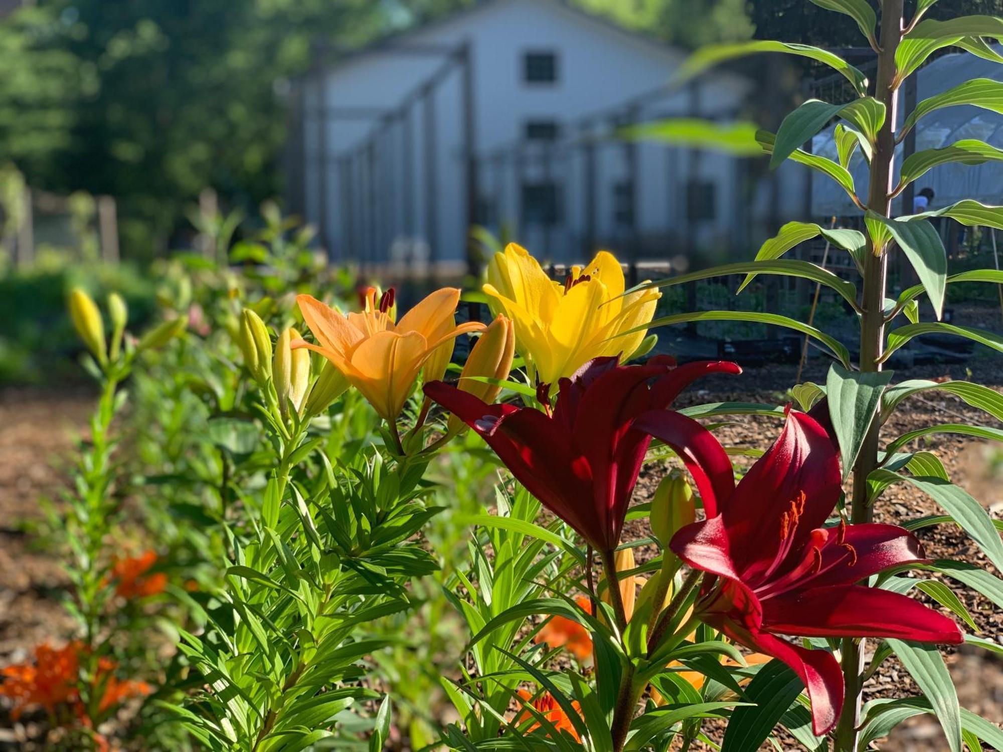 Goldberry Woods- A Modern Farm Resort Union Pier Экстерьер фото